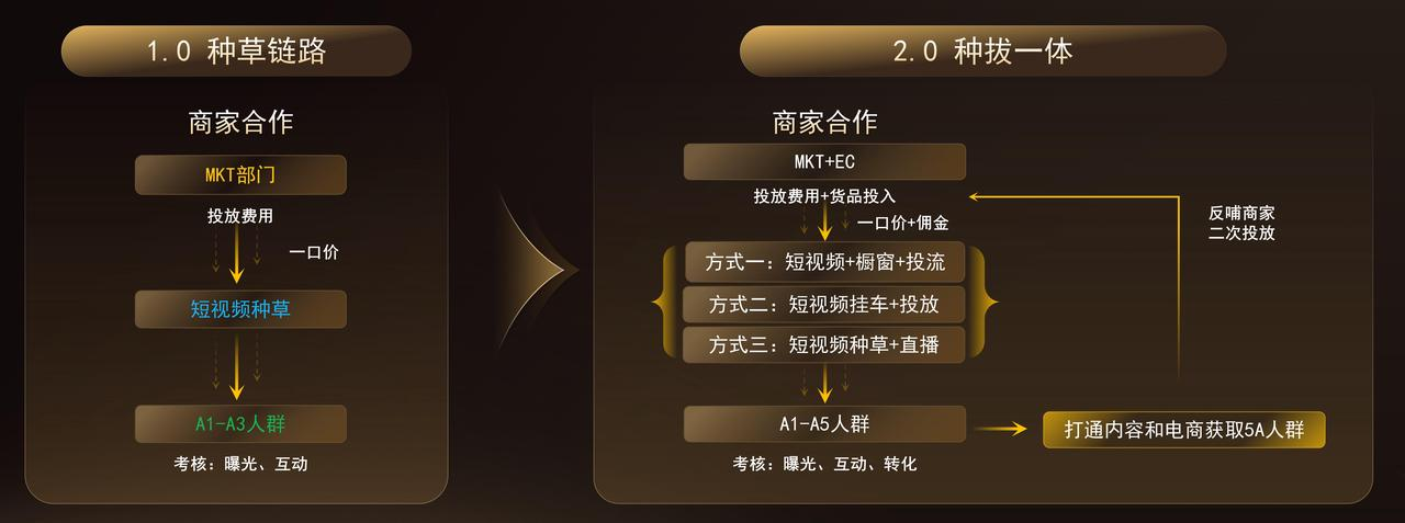 KAIYUN：抖音电商2024商达合作再升级：「抖in星风向」计划闪耀开启(图4)