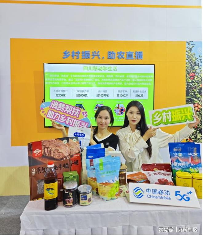 “移”起托底帮扶丨智志帮扶赋能新龙全面振兴(图2)