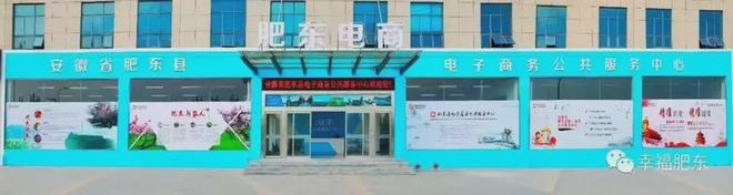 “领跑县”典型案例发布！肥东强势入选！(图2)