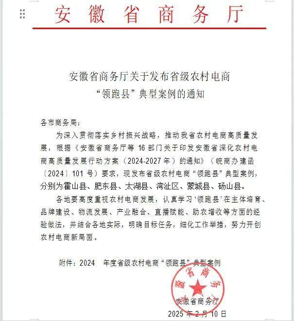 “领跑县”典型案例发布！肥东强势入选！