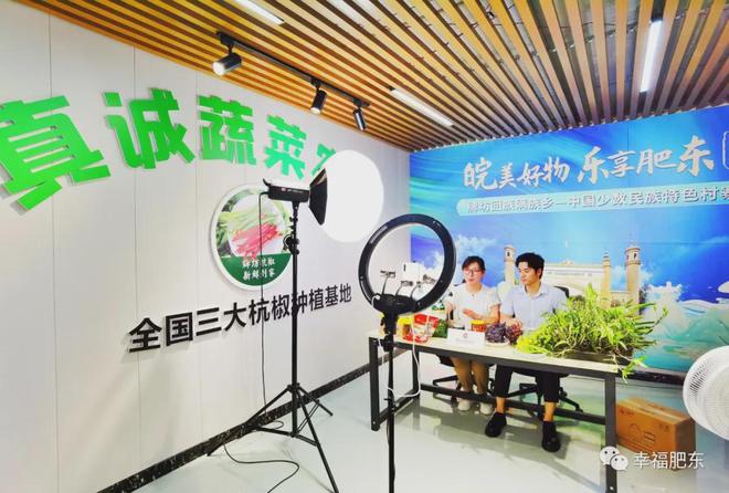 “领跑县”典型案例发布！肥东强势入选！(图4)