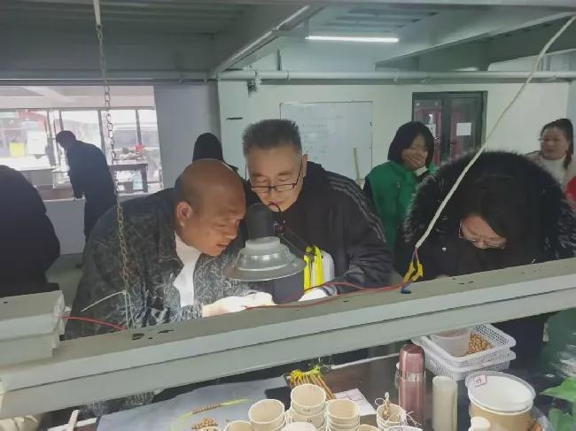 洛宁县开展文玩核桃病虫害防治专题培训(图4)