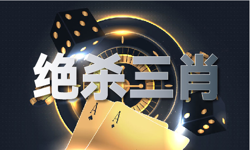另版老综合资料b