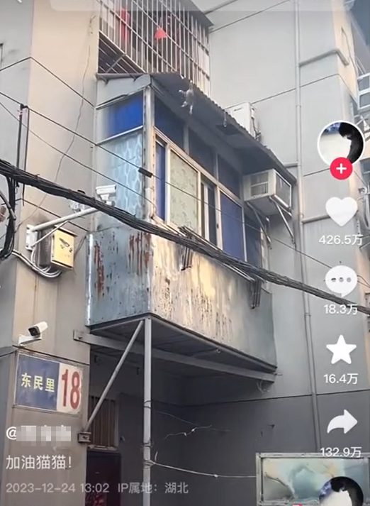 2024年后做这几个抖音话题必火！(图6)