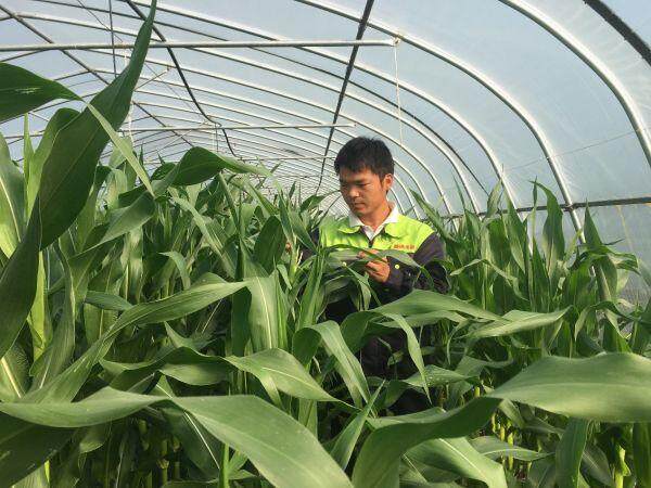 【好评中国·追光青年】“新农人”的科技兴