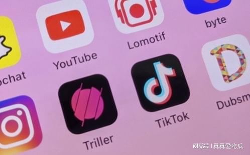 TikTok公会申请与入驻流程要点(图2)