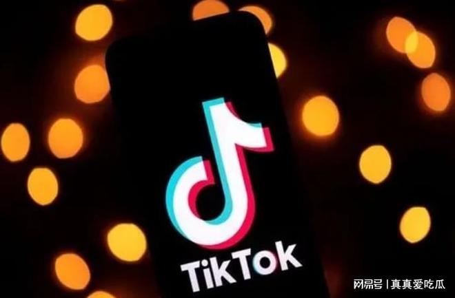TikTok公会申请与入驻流程要点(图3)