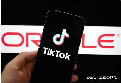 TikTok公会申请与入驻流程要点(图1)