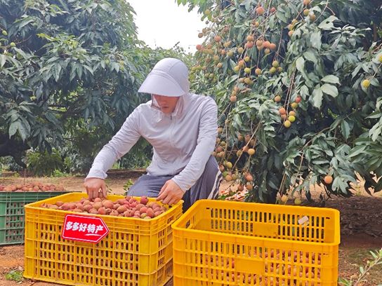 KAIYUN入口：麦德龙加速前置仓布局；茶颜悦色就抄袭致歉；小米之家将破2万店(图6)