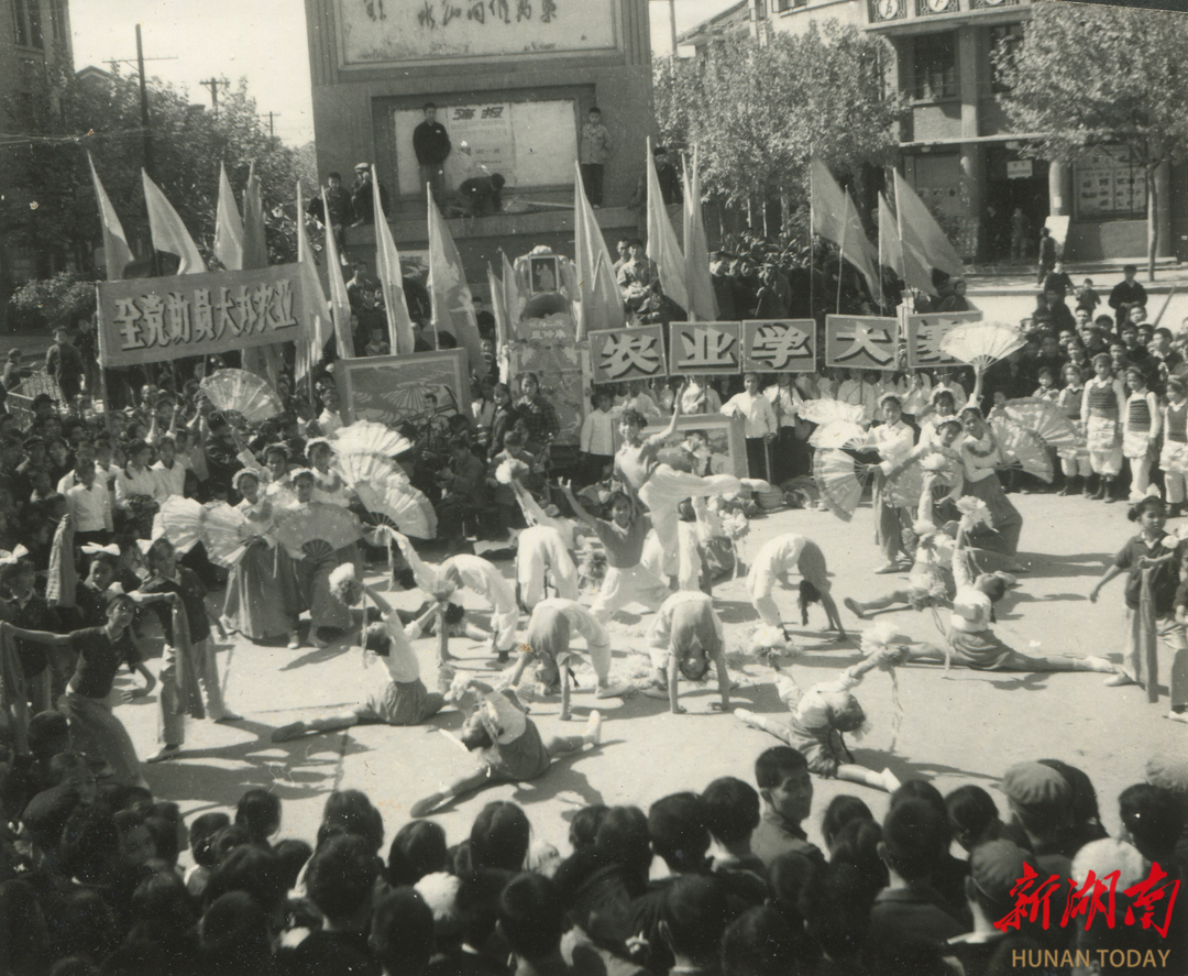 2个月粉丝过万！这家老牌汉剧团如何“破圈