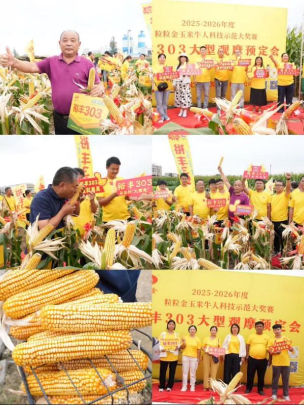 聚力种业新赛道打造数字营销生力军——联创种业粒粒金事业部举办2025年冠军主播培训(图11)