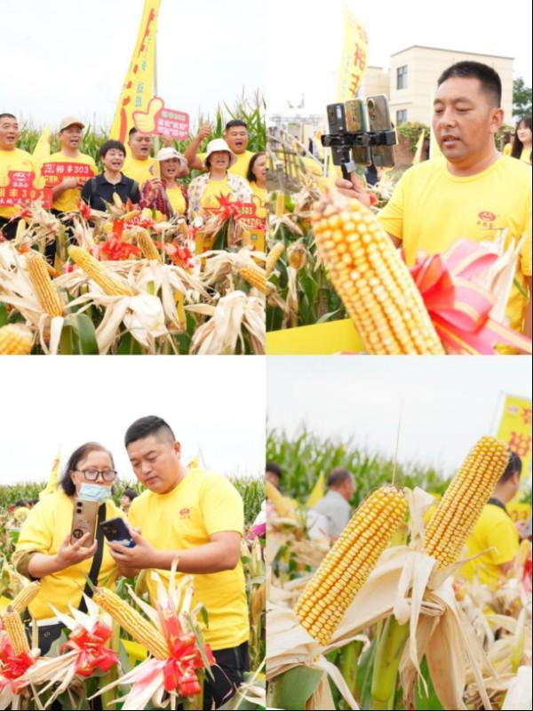 聚力种业新赛道打造数字营销生力军——联创种业粒粒金事业部举办2025年冠军主播培训(图6)