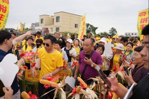 聚力种业新赛道打造数字营销生力军——联创种业粒粒金事业部举办2025年冠军主播培训(图9)