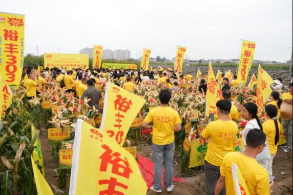 聚力种业新赛道打造数字营销生力军——联创种业粒粒金事业部举办2025年冠军主播培训(图8)