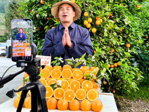 KAIYUN：1500万返乡人：走出大山为什么又重返大山(图3)