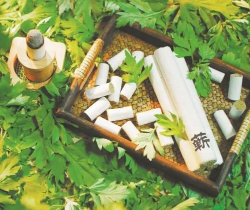 千亿级艾草产业皖北有机会(图4)