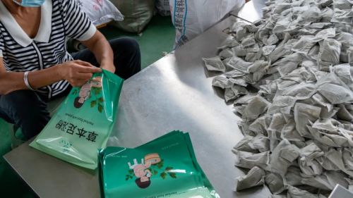 千亿级艾草产业皖北有机会(图11)