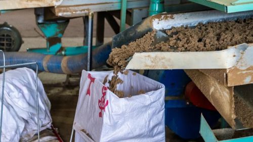 千亿级艾草产业皖北有机会(图10)