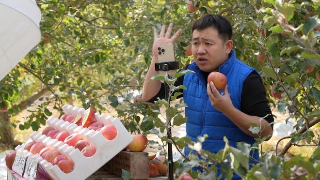新疆阿克苏市：电商赋能打通苹果销售“新通路”