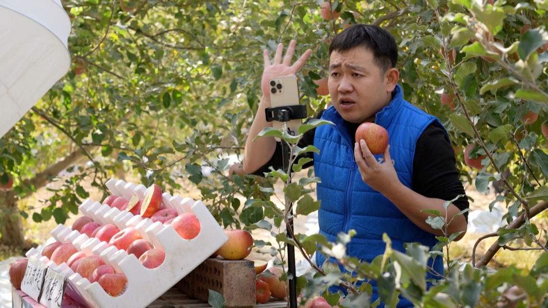 KAIYUN：阿克苏：电商赋能打通苹果销