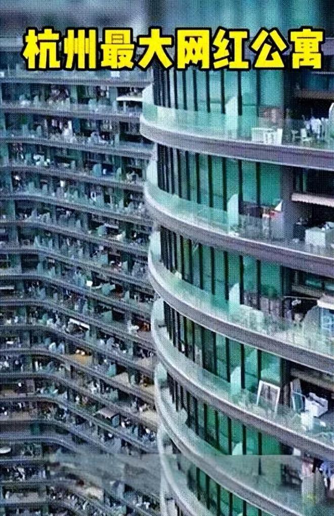 辛巴败走杭州：直播泡沫破裂杭州网红时代终结新产业强势崛起(图8)