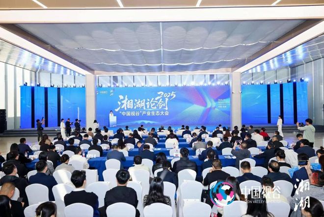 辛巴败走杭州：直播泡沫破裂杭州网红时代终结新产业强势崛起(图14)