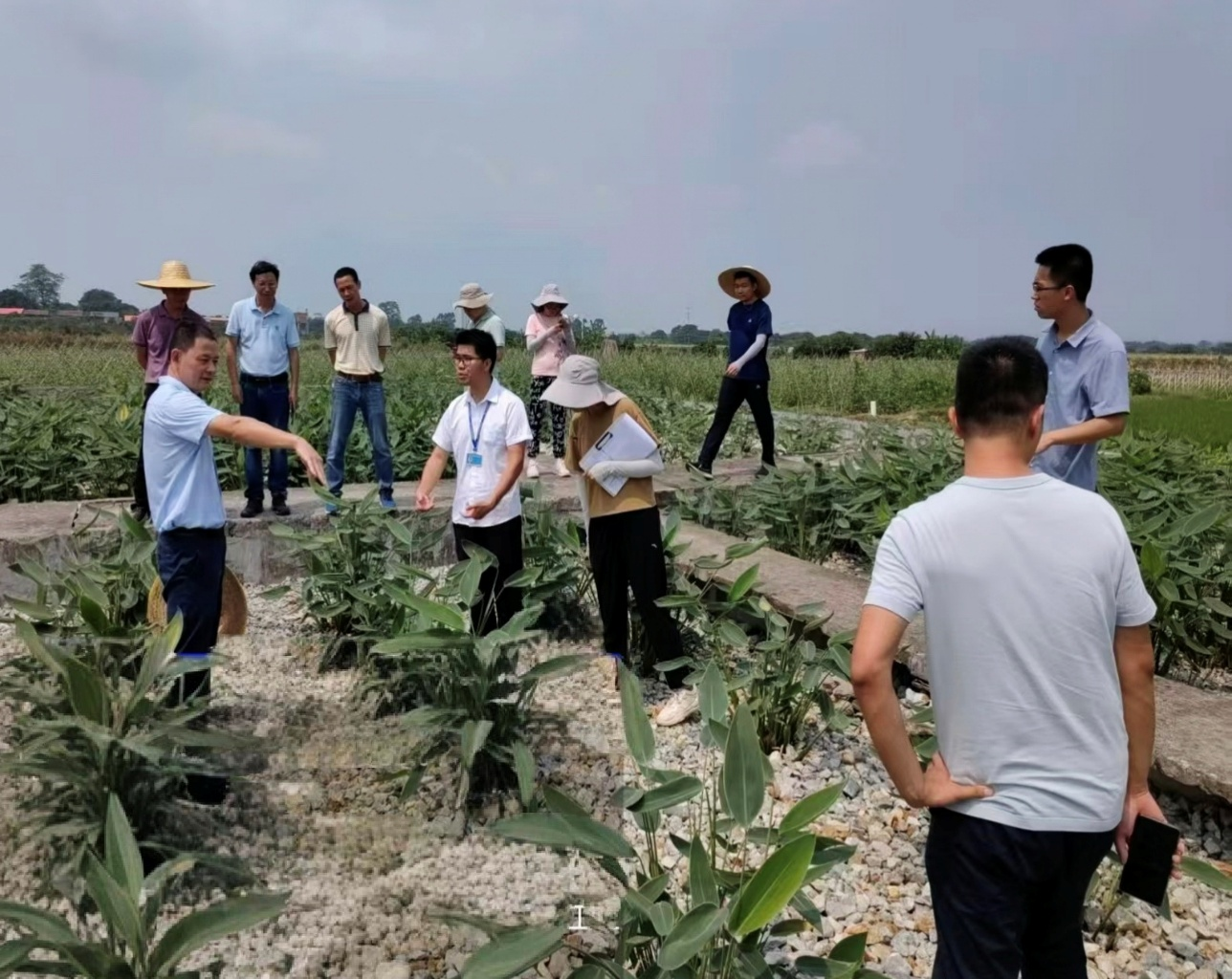 KAIYUN：华南农大：绿色引擎与数字驱