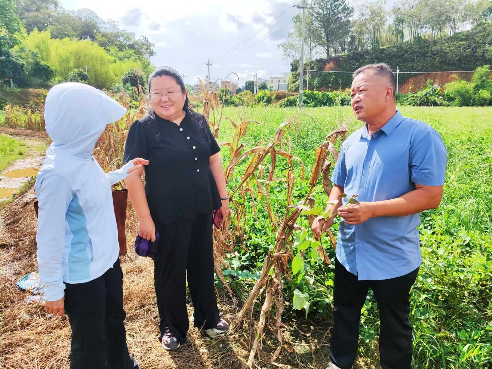 KAIYUN：华南农大：绿色引擎与数字驱动绘就乡村“富春山居图”(图5)