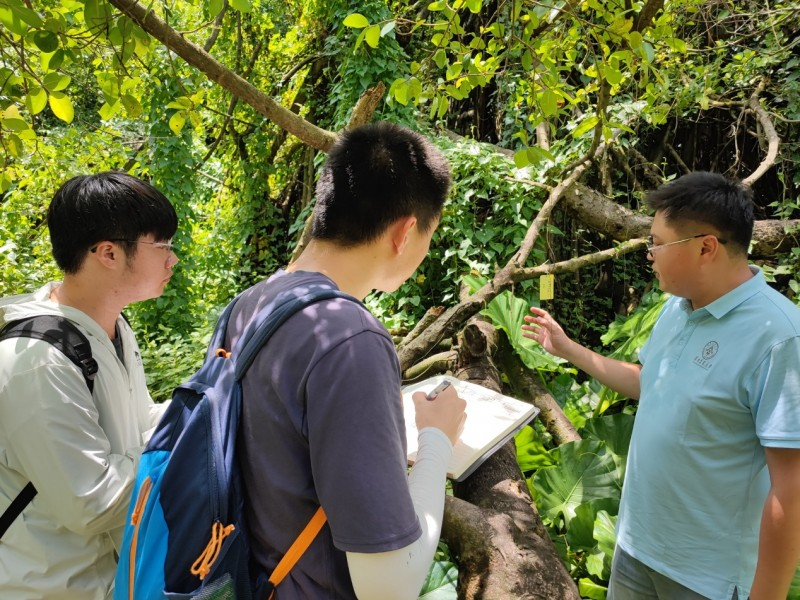 KAIYUN：华南农大：绿色引擎与数字驱动绘就乡村“富春山居图”(图6)