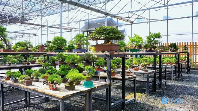 乡村“智”变丨村民捧稳“智能碗”田垄间蹚出致富路(图3)