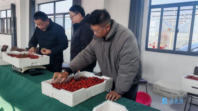 乡村“智”变丨村民捧稳“智能碗”田垄间蹚出致富路(图4)