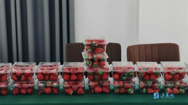 乡村“智”变丨村民捧稳“智能碗”田垄间蹚出致富路(图7)