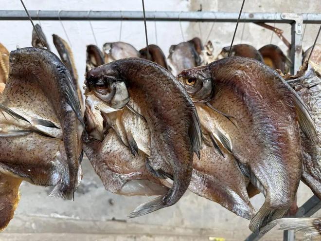 KAIYUN入口：没有一个钓鱼佬能空手走出直播间(图10)