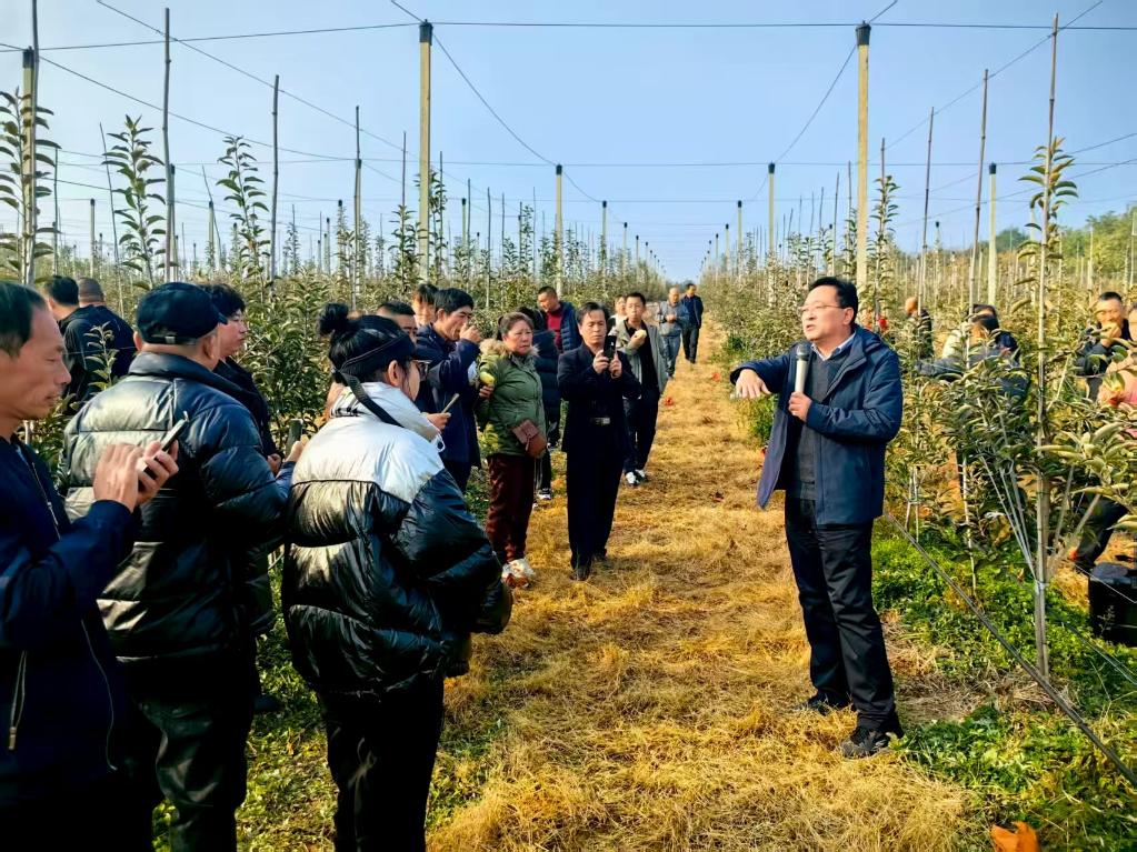 KAIYUN：新华网辽宁频道