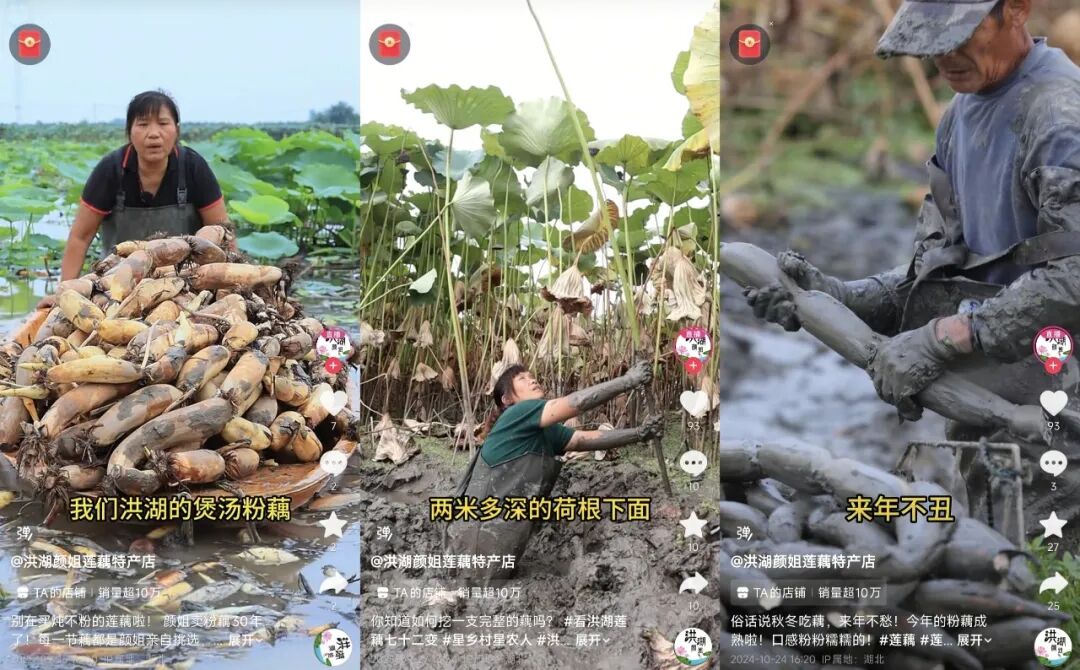 从“提效”到“稳进”：2026直播电商进