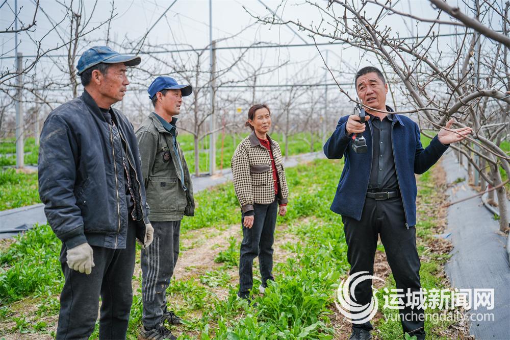 颗颗红香酥稳稳富民路(图3)