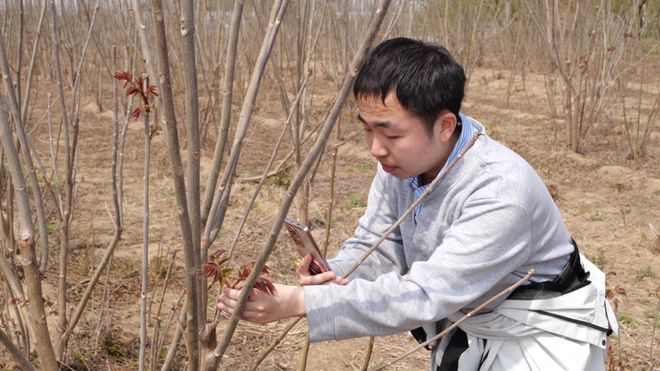 直播赋能助农兴产！辛集本土好物借势“出圈”(图6)