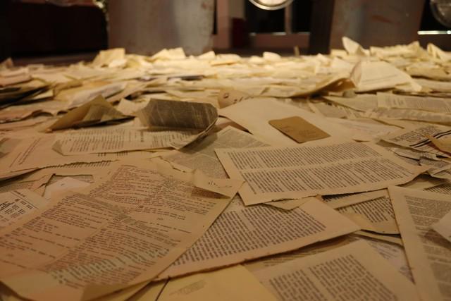 当学历信仰撞上冰冷的现实谁听见了书页里的