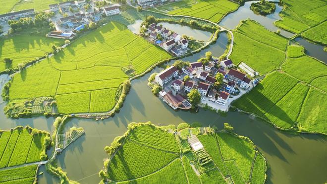 当学历信仰撞上冰冷的现实谁听见了书页里的哭泣？(图4)